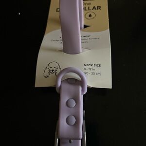 NWT Wild One Dog Collar
